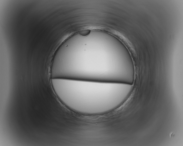 X0000100311185200806051322