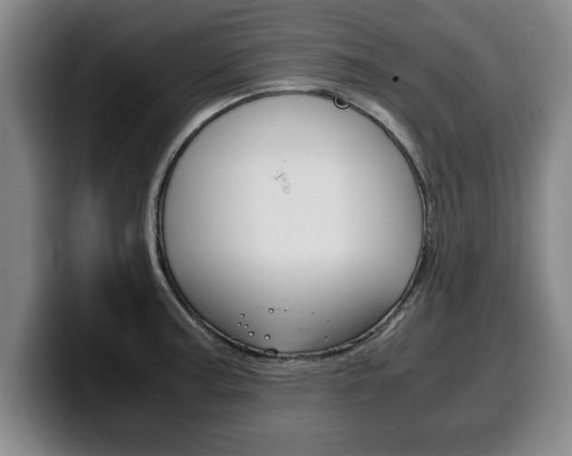 X0000100311187200806051322