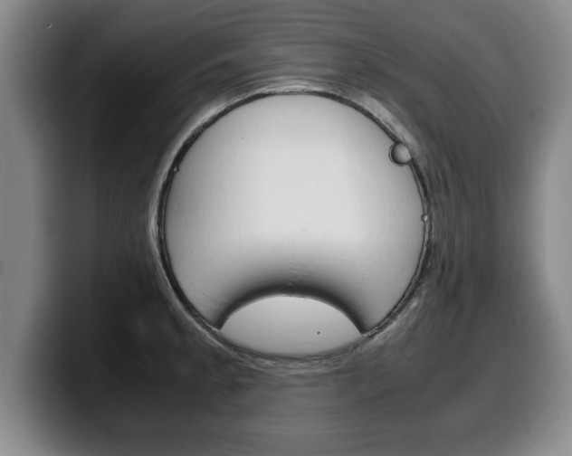 X0000100311189200806051322