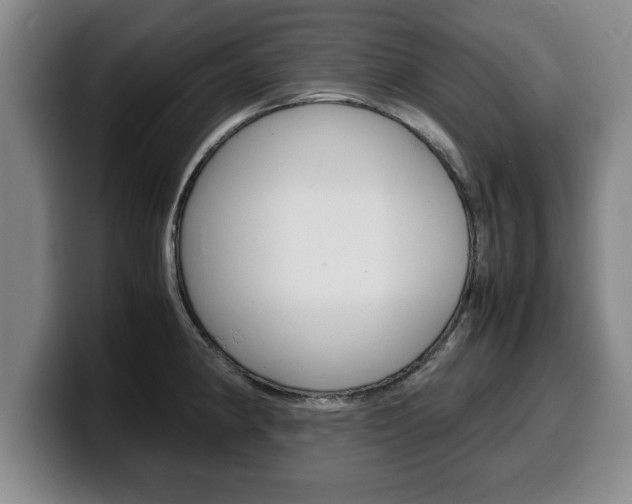 X0000100311190200806051322