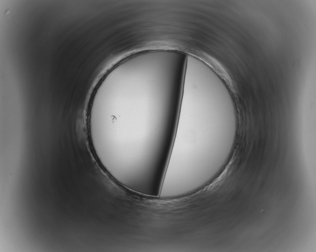 X0000100311192200806051322
