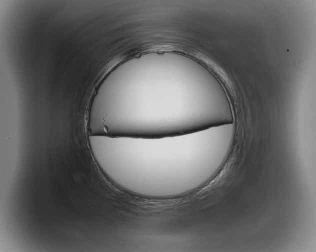 X0000100311193200806051322