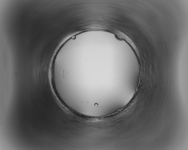 X0000100311195200806051322