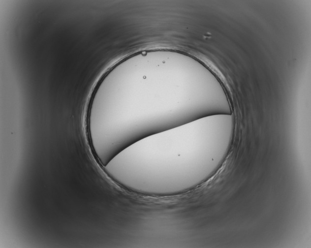 X0000100311197200806051322