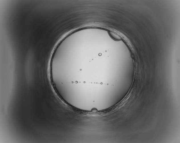 X0000100311199200806051322
