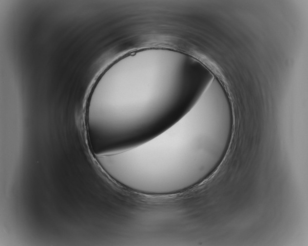 X0000100311200200806051322