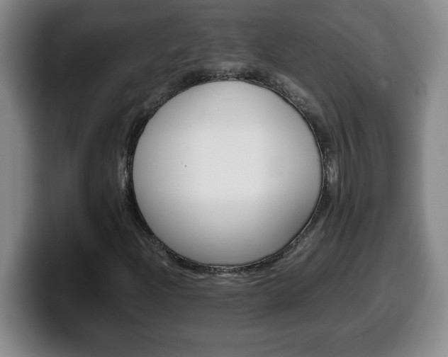 X0000100311204200806051321