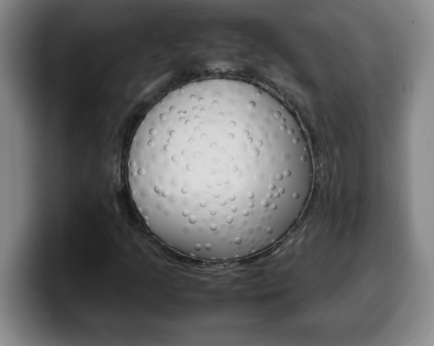 X0000100311205200806051321