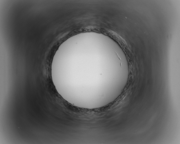 X0000100311207200806051321