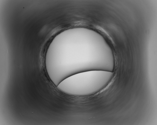 X0000100311211200806051321