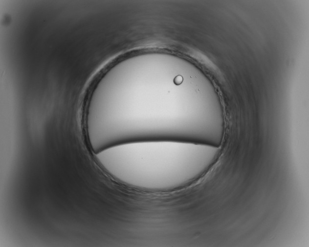 X0000100311216200806051321
