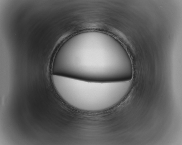 X0000100311218200806051321