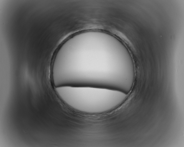 X0000100311220200806051321