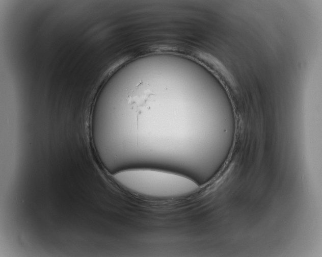 X0000100311225200806051321