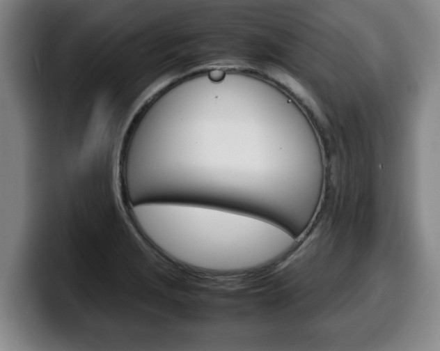 X0000100311229200806051321