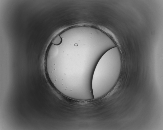 X0000100311231200806051321