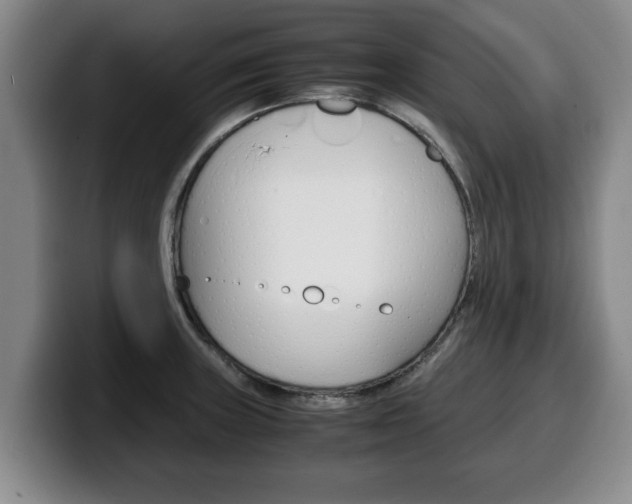 X0000100311235200806051322