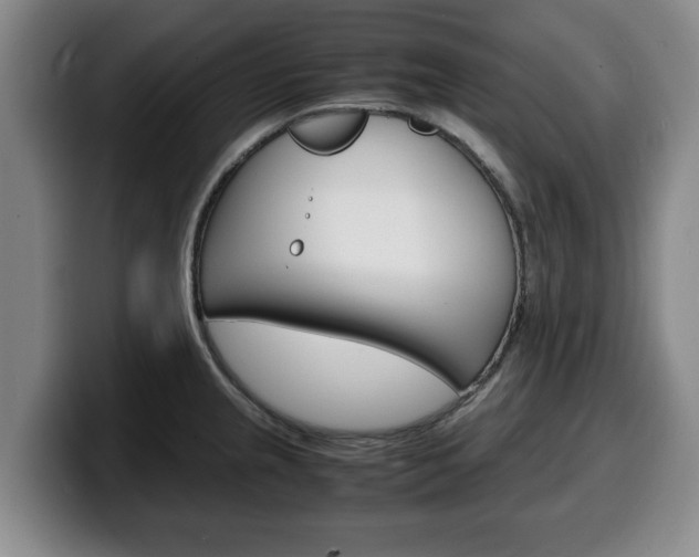 X0000100311237200806051322