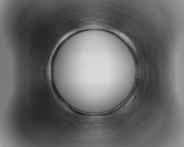 X0000100311238200806051322