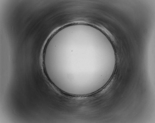 X0000100311240200806051322