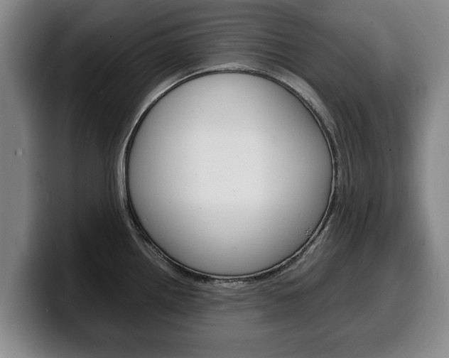 X0000100311242200806051322