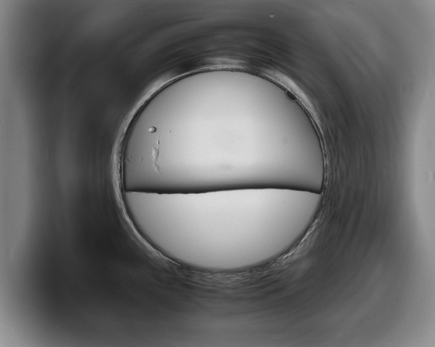 X0000100311243200806051322