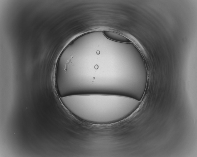 X0000100311244200806051322