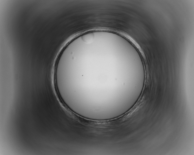 X0000100311245200806051322