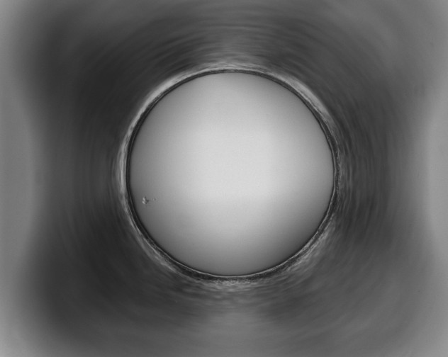 X0000100311246200806051322