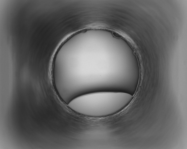 X0000100311248200806051322