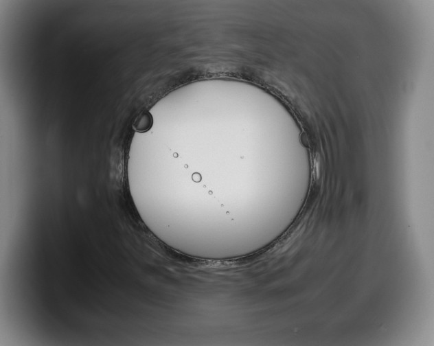 X0000100311251200806051321