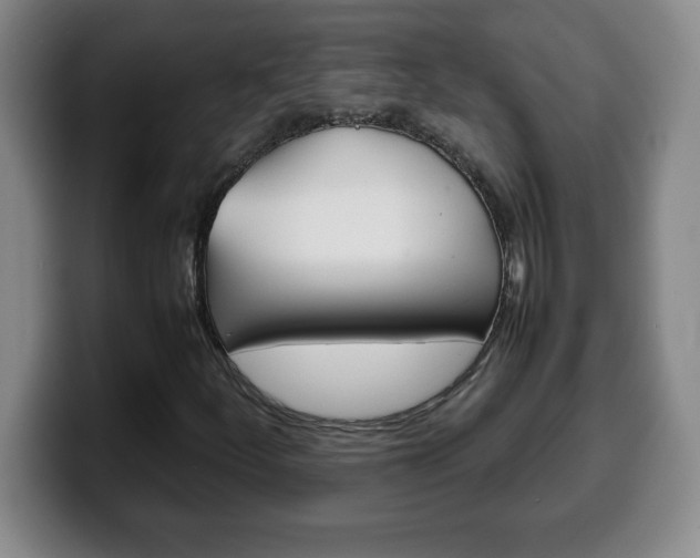 X0000100311252200806051321
