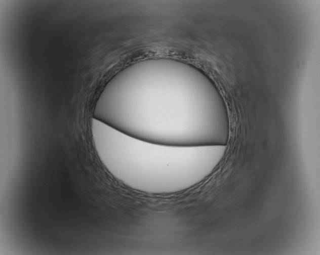 X0000100311253200806051321