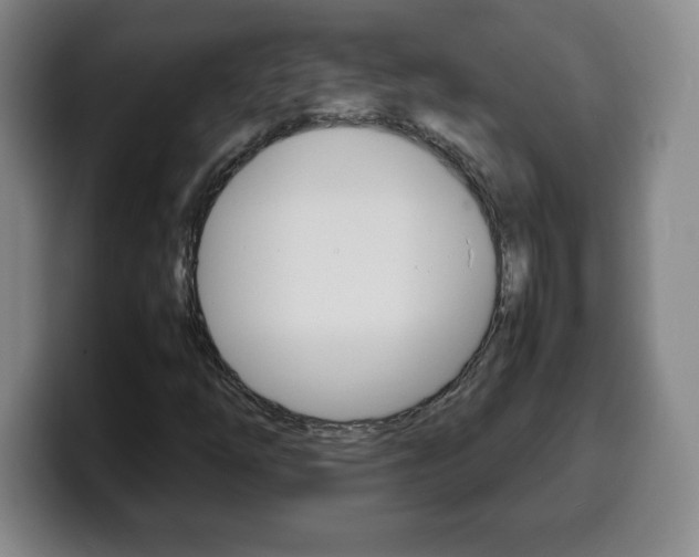 X0000100311254200806051321