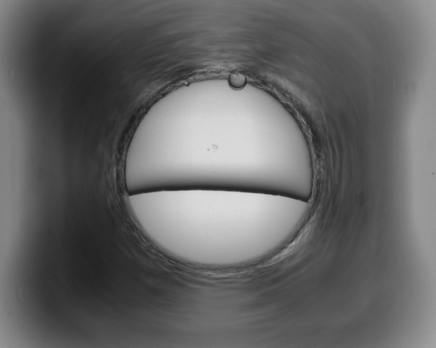 X0000100311257200806051321