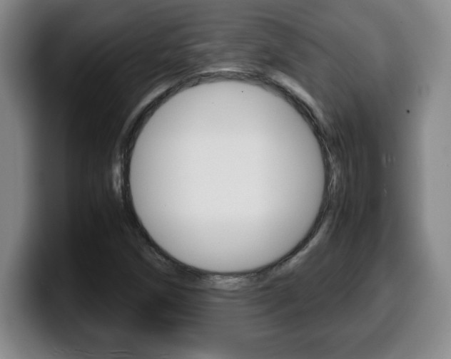 X0000100311258200806051321