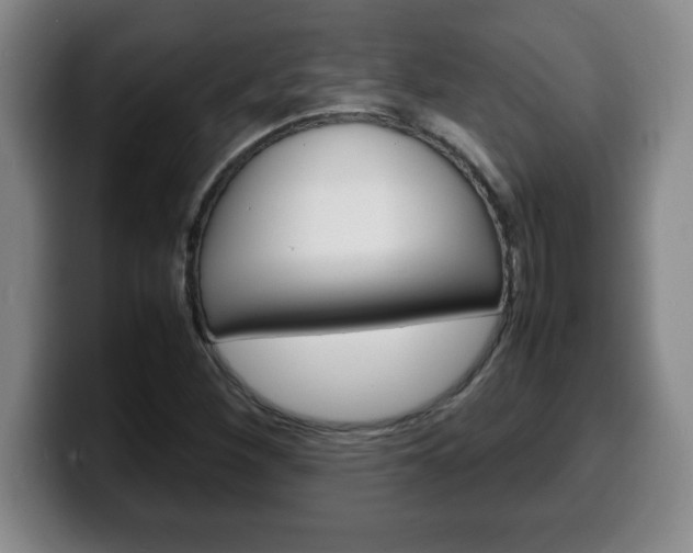 X0000100311260200806051321