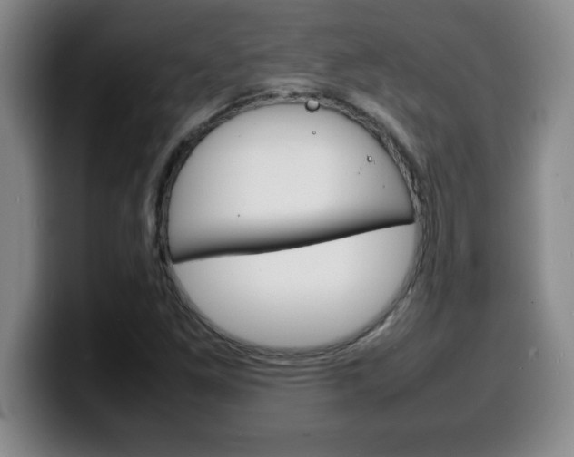 X0000100311261200806051321