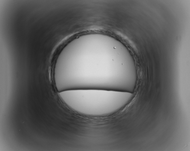 X0000100311262200806051321