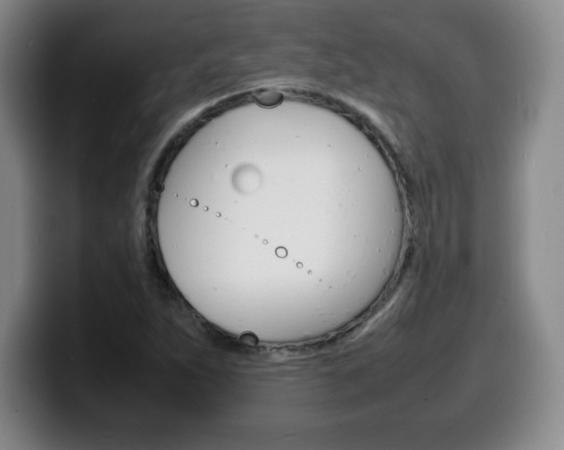X0000100311263200806051321