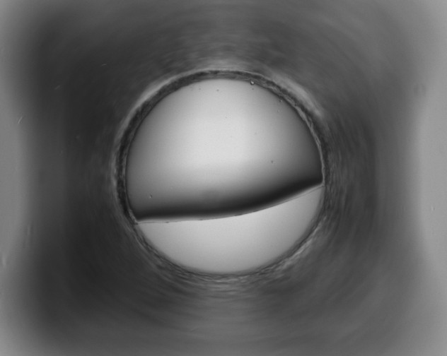 X0000100311264200806051321