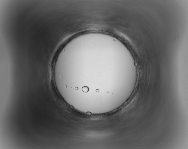 X0000100311267200806051321
