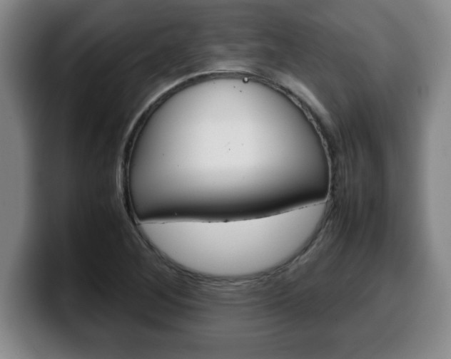 X0000100311268200806051321