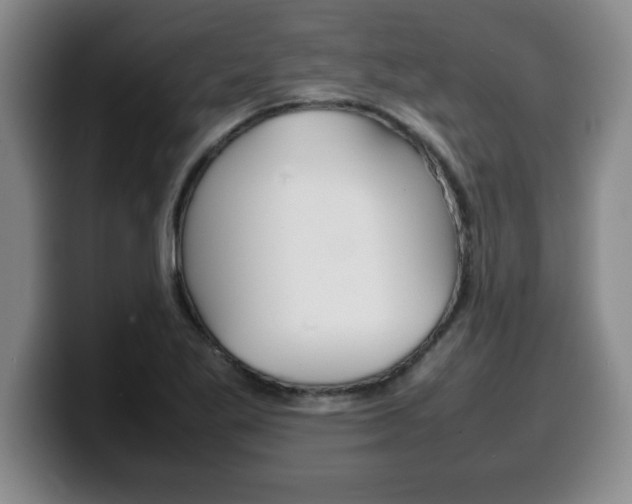 X0000100311269200806051321