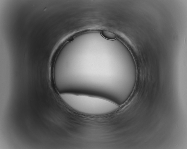 X0000100311270200806051321