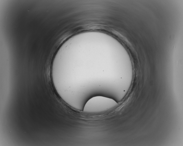 X0000100311273200806051321