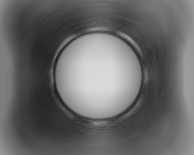 X0000100311274200806051321