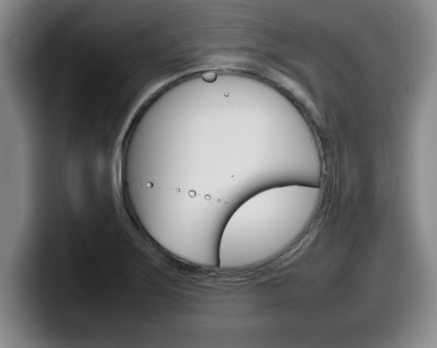 X0000100311275200806051321