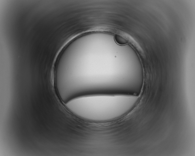 X0000100311276200806051321