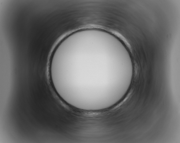 X0000100311278200806051321
